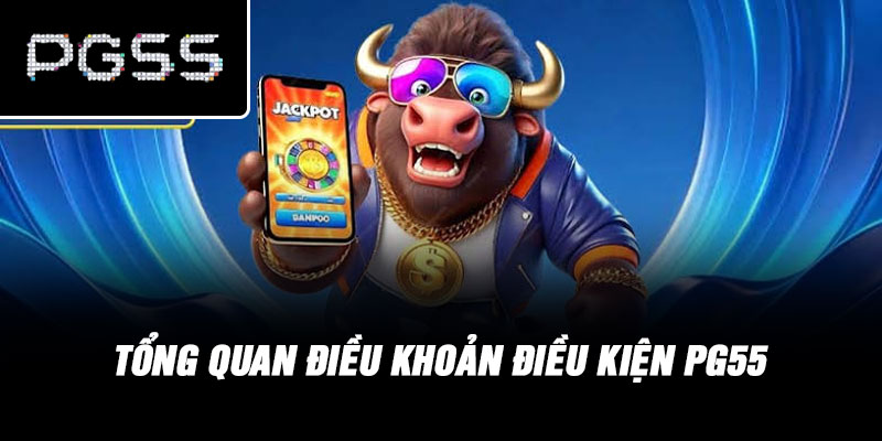 Tổng Quan Điều Khoản Điều Kiện PG55