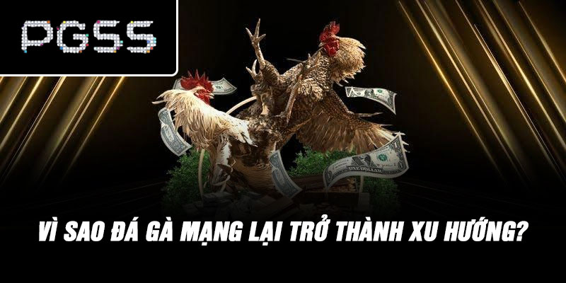 Vì sao đá gà mạng lại trở thành xu hướng?
